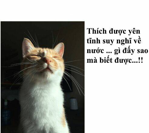 đại thánh và tiểu yêu chapter 50 28