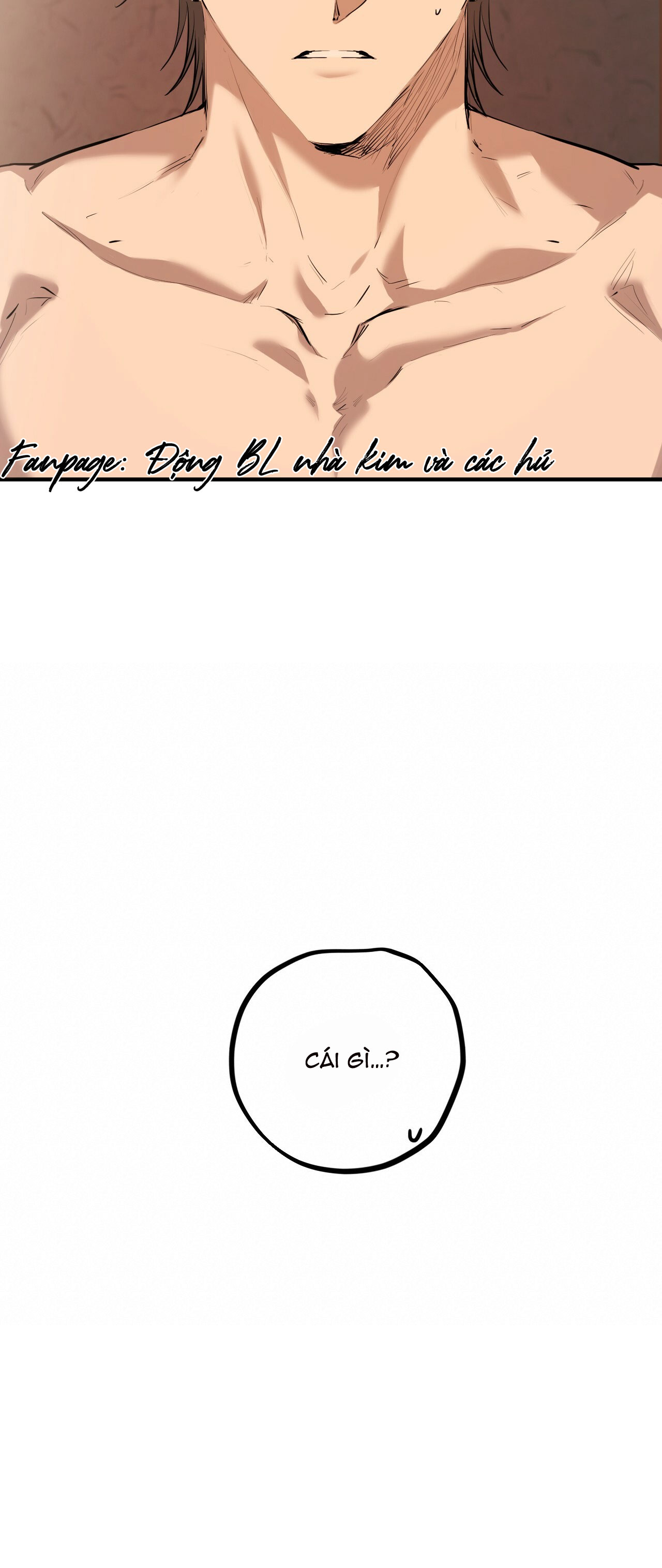 những chú thỏ của hapypy chapter 27 16