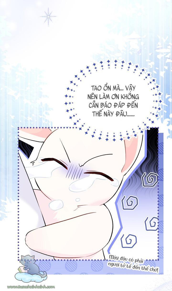 quan hệ cộng sinh giữa báo đen và thỏ trắng chapter 57 25