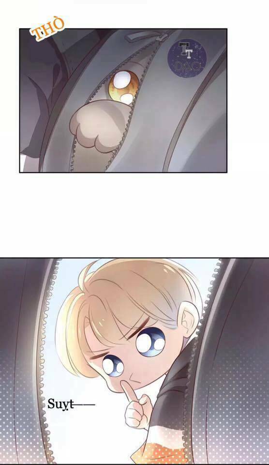 dưới móng vuốt mèo chapter 21 13