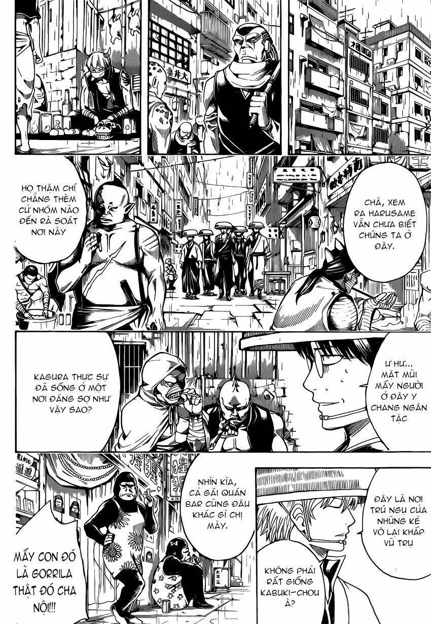 gintama - linh hồn bạc chapter 559 6