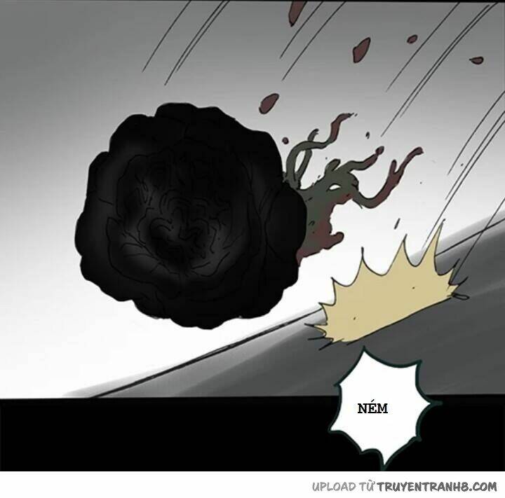 hoa mẫu đơn đen chapter 6 27