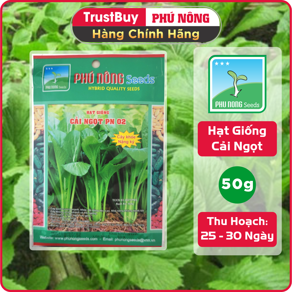 Hạt Giống Cải Ngọt Phú Nông Gói 50g