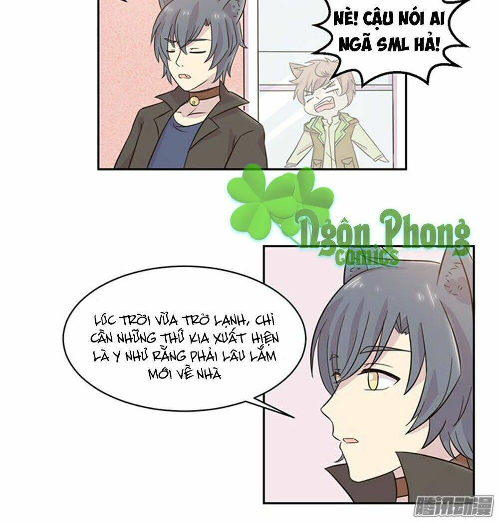 hai chú mèo totem chapter 20 5