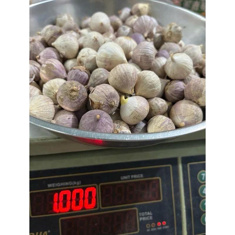 Tỏi cô đơn 1 kg. Đặc sản tỏi cô đơn, tỏi 1 nhánh size vừa