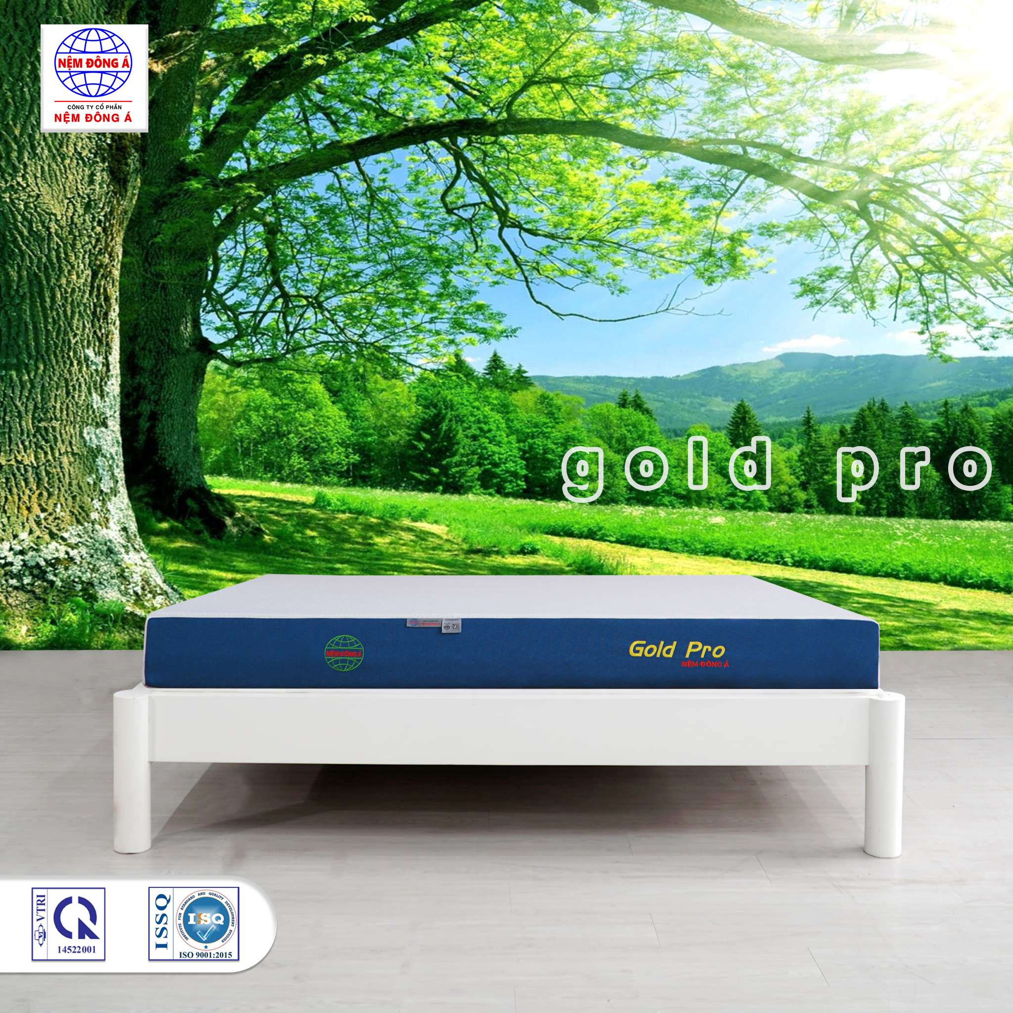 Nệm foam Đông Á Gold Pro