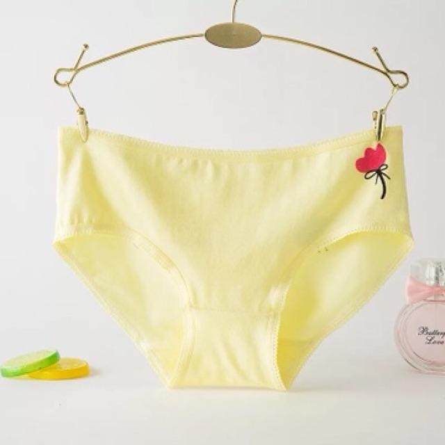 Quần Lót Nữ Cotton Hoa Hồng Thời Trang Xuất Hàn Hàng Loại Đẹp.