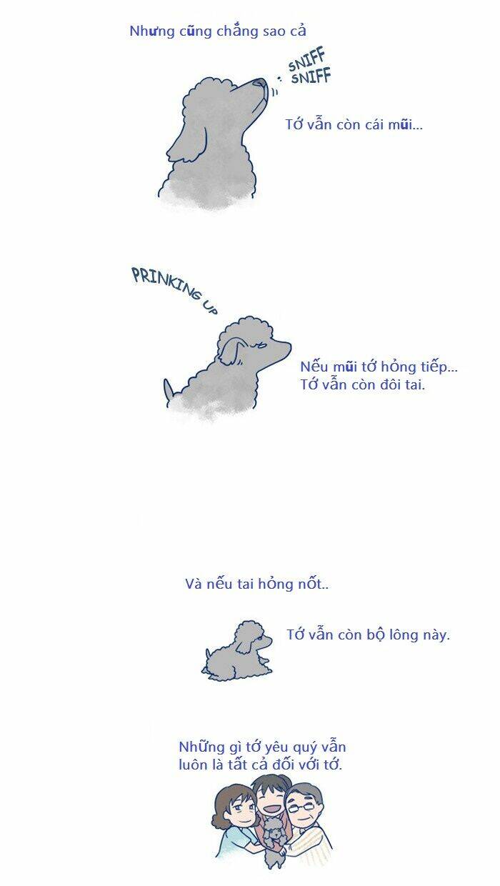 my kitty and old dog chapter 4 3