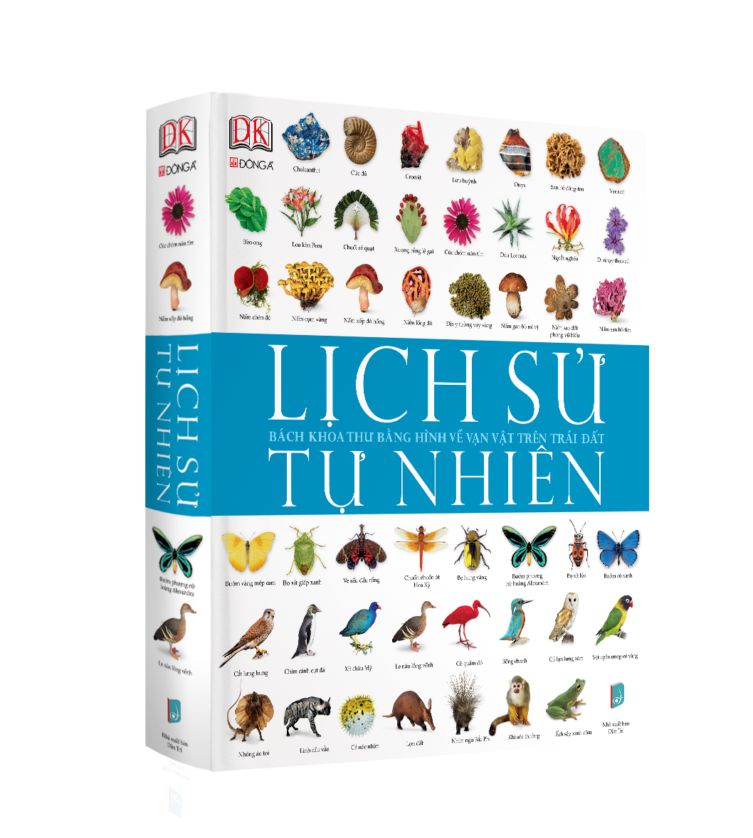 Lịch Sử Tự Nhiên