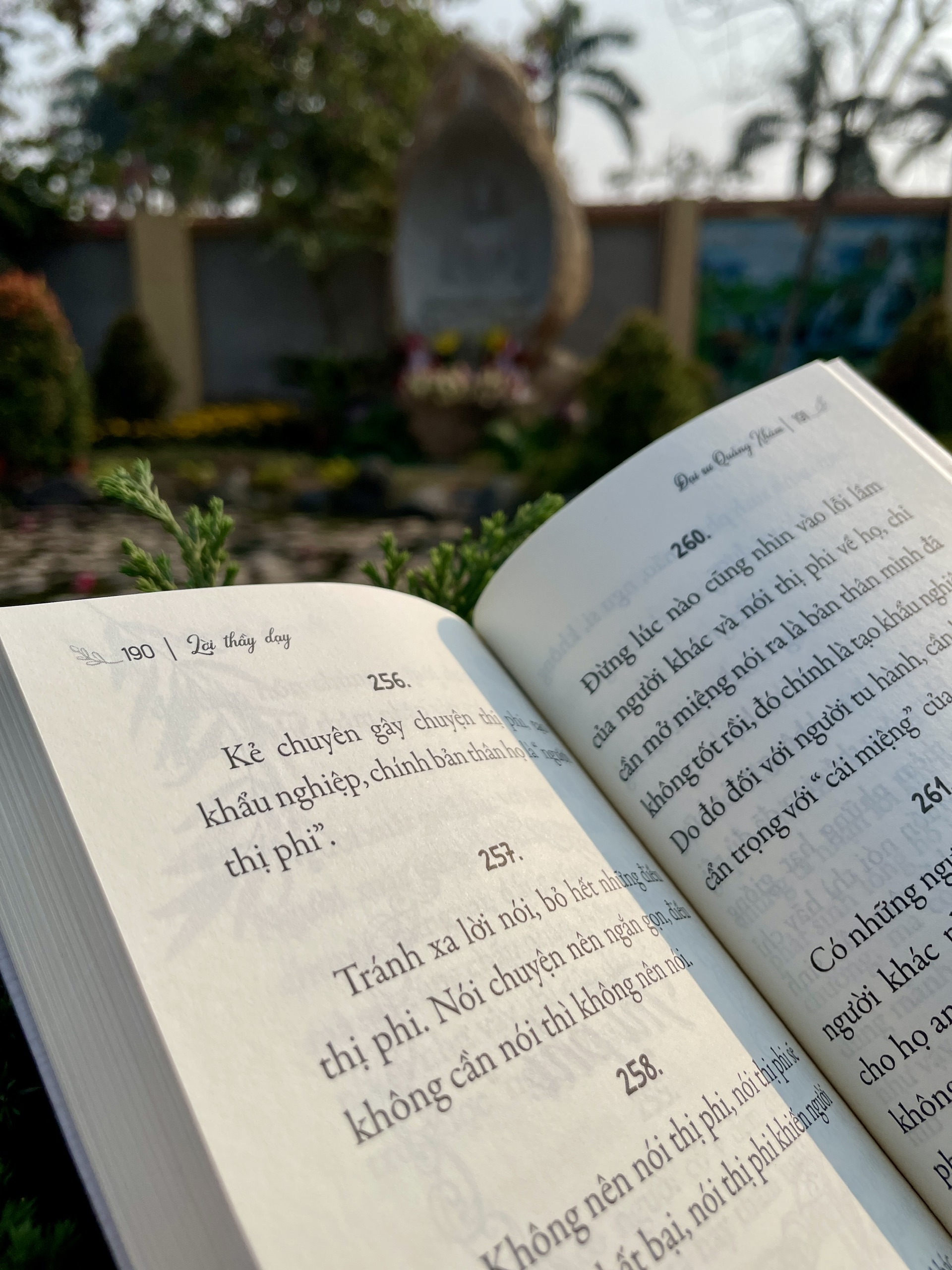 Sách - Lời Thầy Dạy - Vĩnh Nghiêm Books