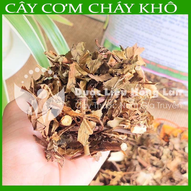 Cây Cơm Cháy khô sạch đóng gói 1kg