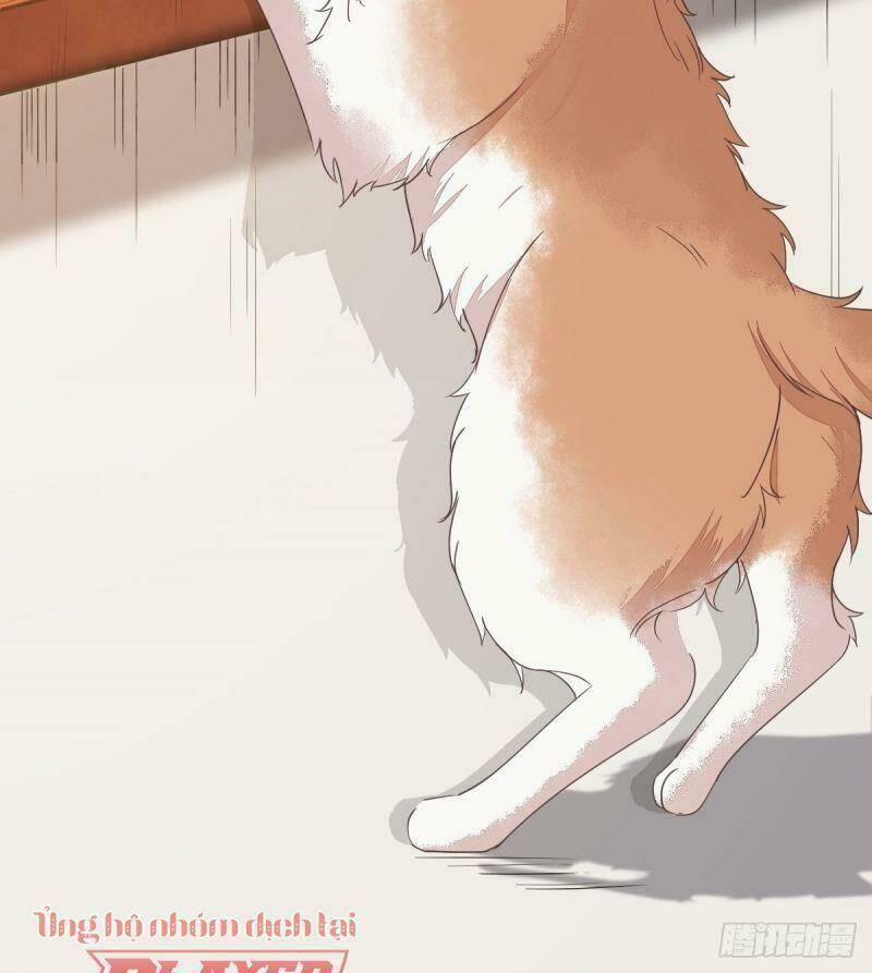 sát thủ vương phi không dễ chọc chapter 38 41