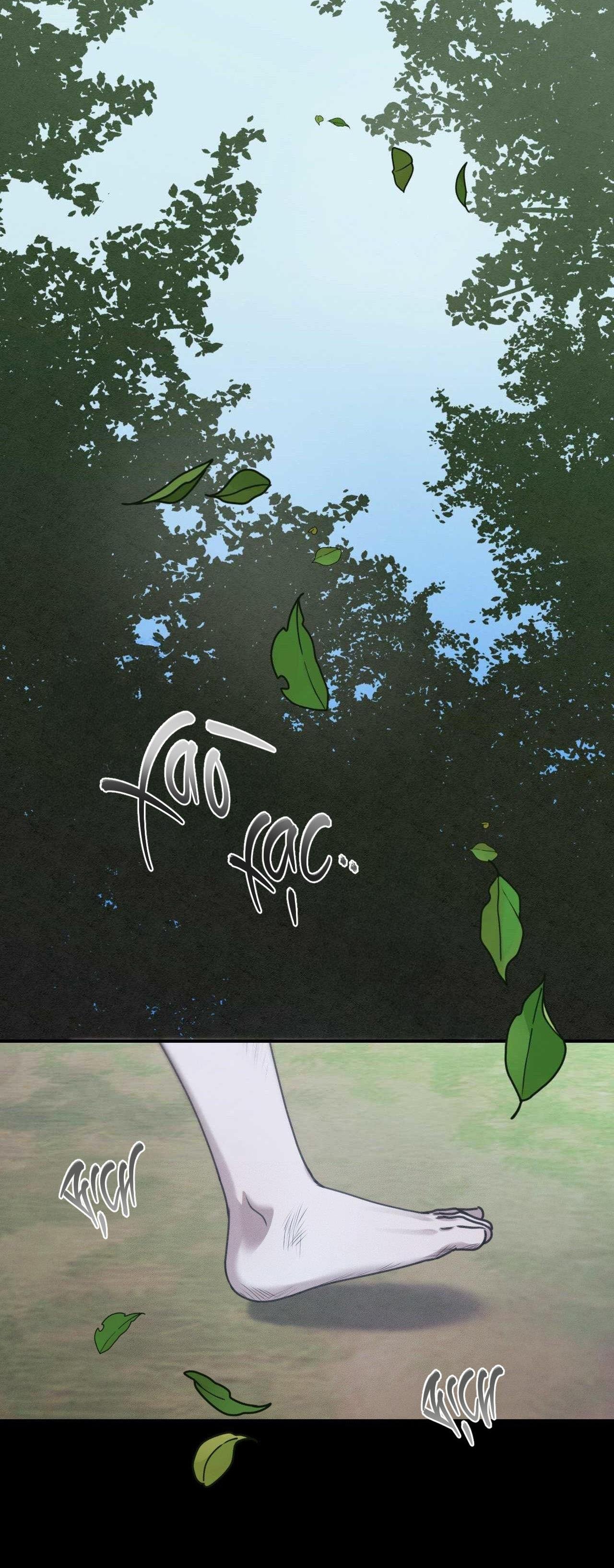 gấu teddy thân yêu Chapter 28 Season 2 2