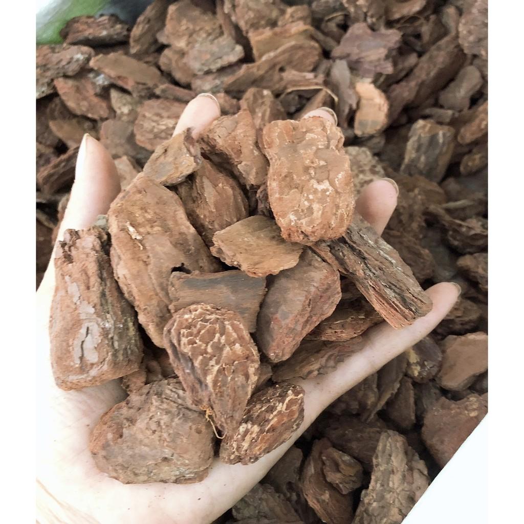 Vỏ Thông Trồng Lan Cao Cấp Cỡ 2-5cm Đã Xử Lý 1Kg/ Hồng Thanh Garden