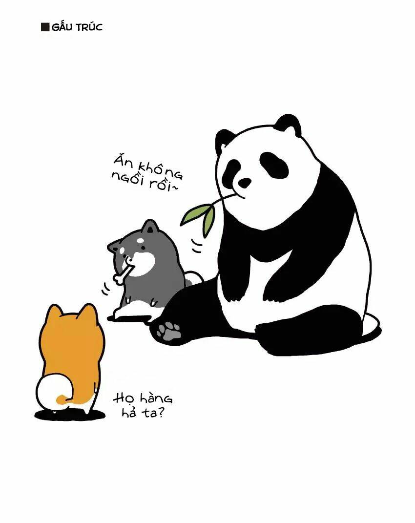 taru shiba chapter 4 14