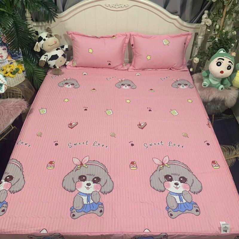Combo bộ ga gối chun trần 1m8x2m và 1m6x2m