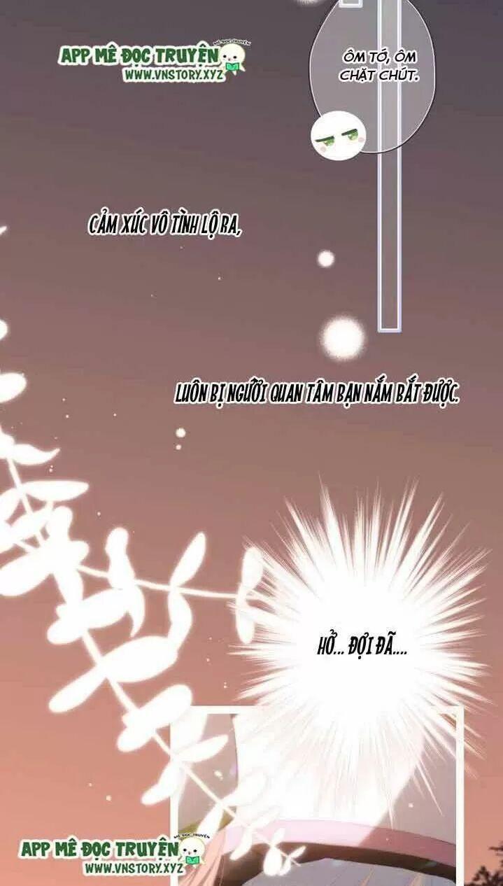 con tim rung động 2 chapter 177.3 39