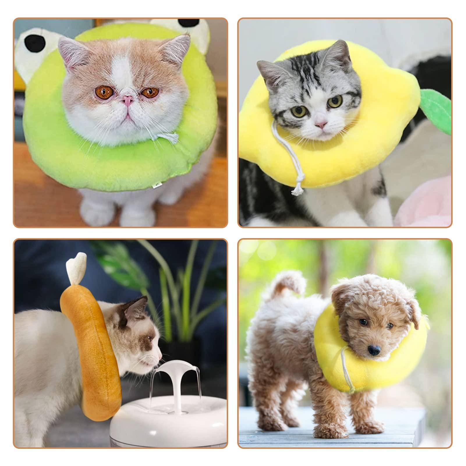 Mèo chó nhỏ Ruff bảo vệ, điều chỉnh cổ áo chống cắn cho chó mèo Cổ COLLEY COLLEY COLLAR PRESSENT