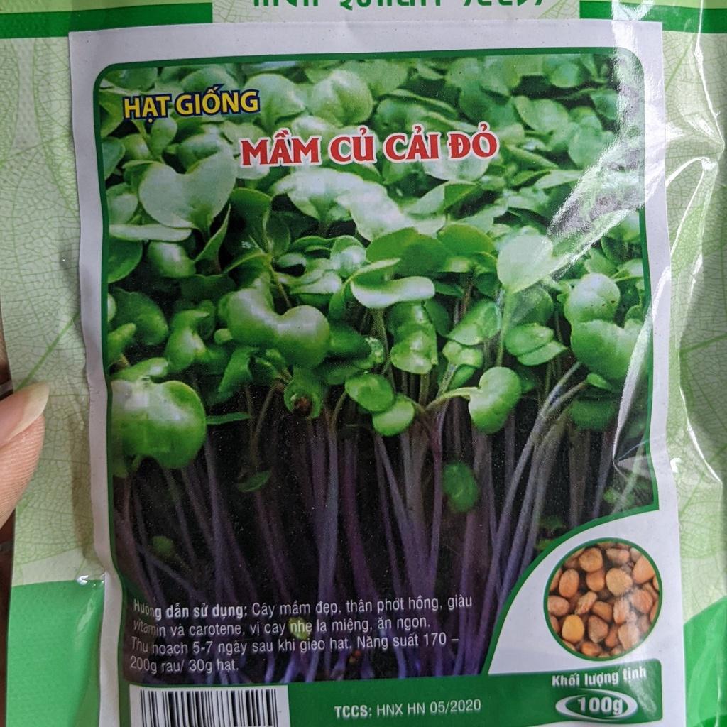 Hạt Giống Mầm củ cải đỏ 100g, Rau mầm