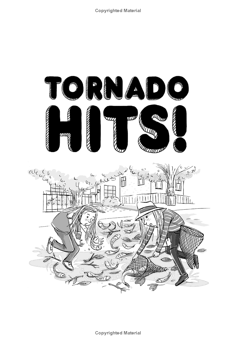 Sách ngoại văn: Hilde Cracks The Case - Book 5 - Tornado Hits!