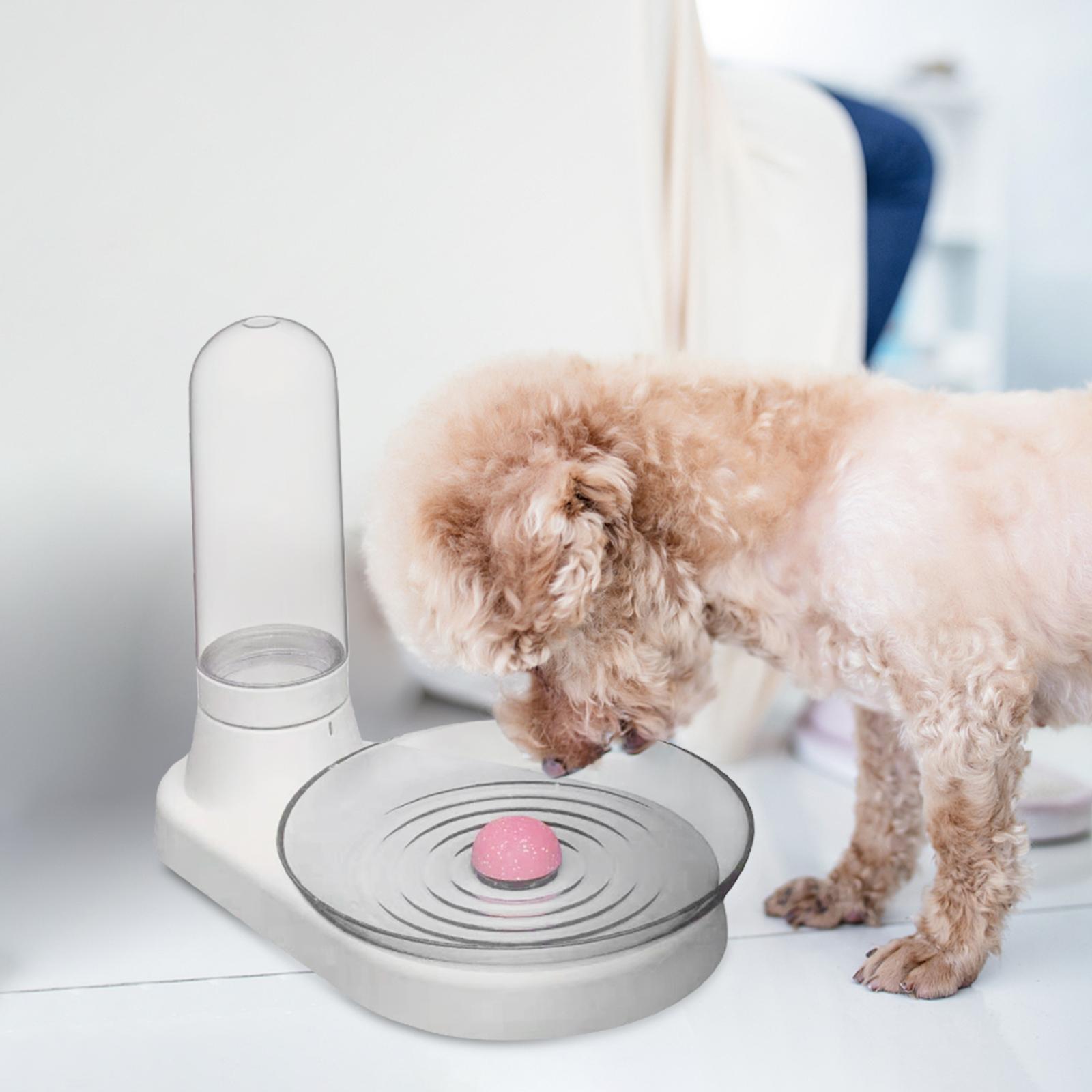 Pet Water Dispenser Automatic Water Fountain Cat Water Feeder for Rabbits