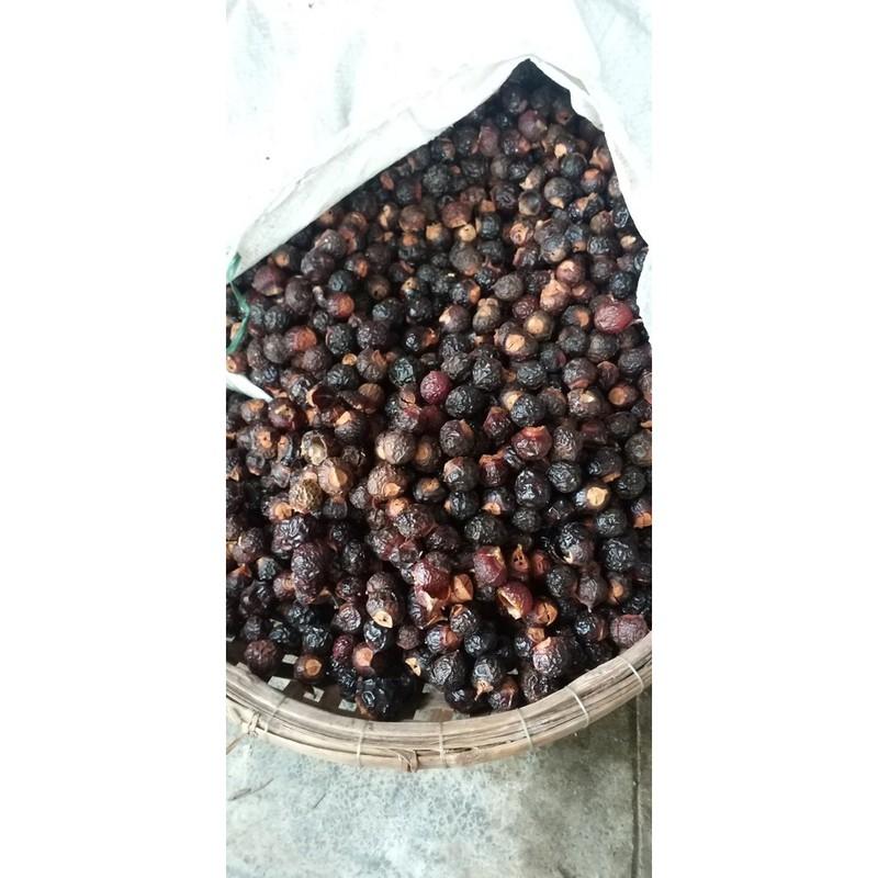 QUẢ BỒ HÒN CHÍN CÂY LOẠI 1