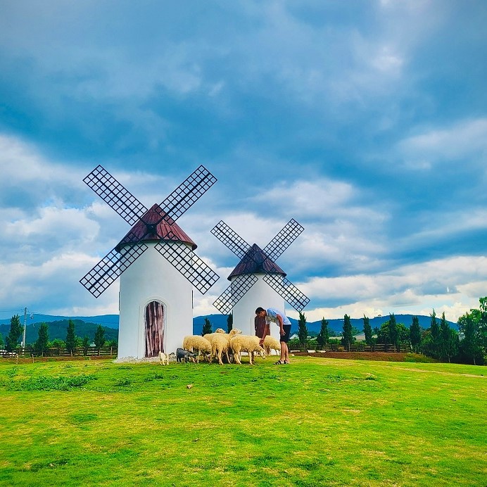 Tour Đà Lạt 4 ngày 3 đêm - Đà Lạt mộng mơ