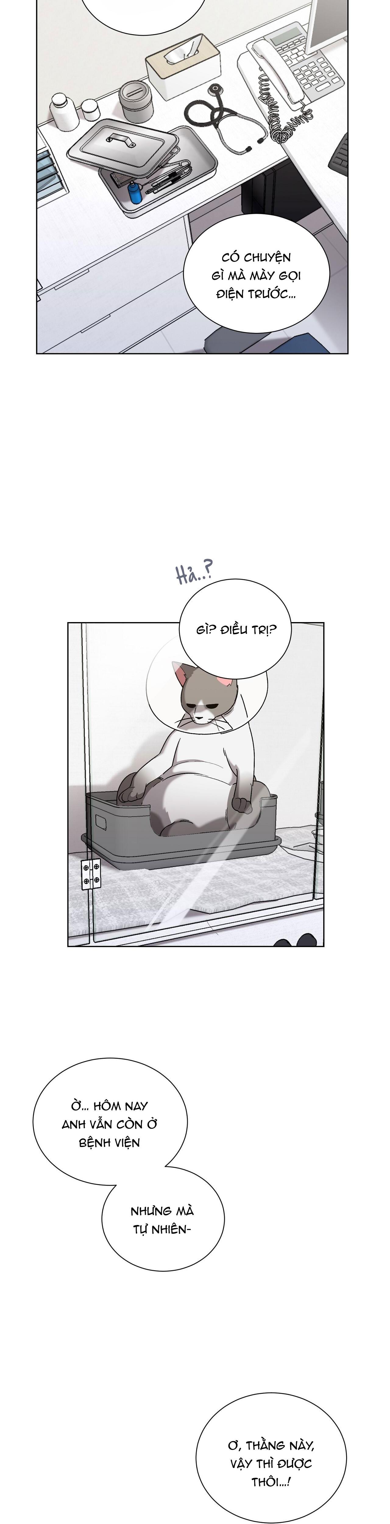 khi chim thước đến chapter 12 39