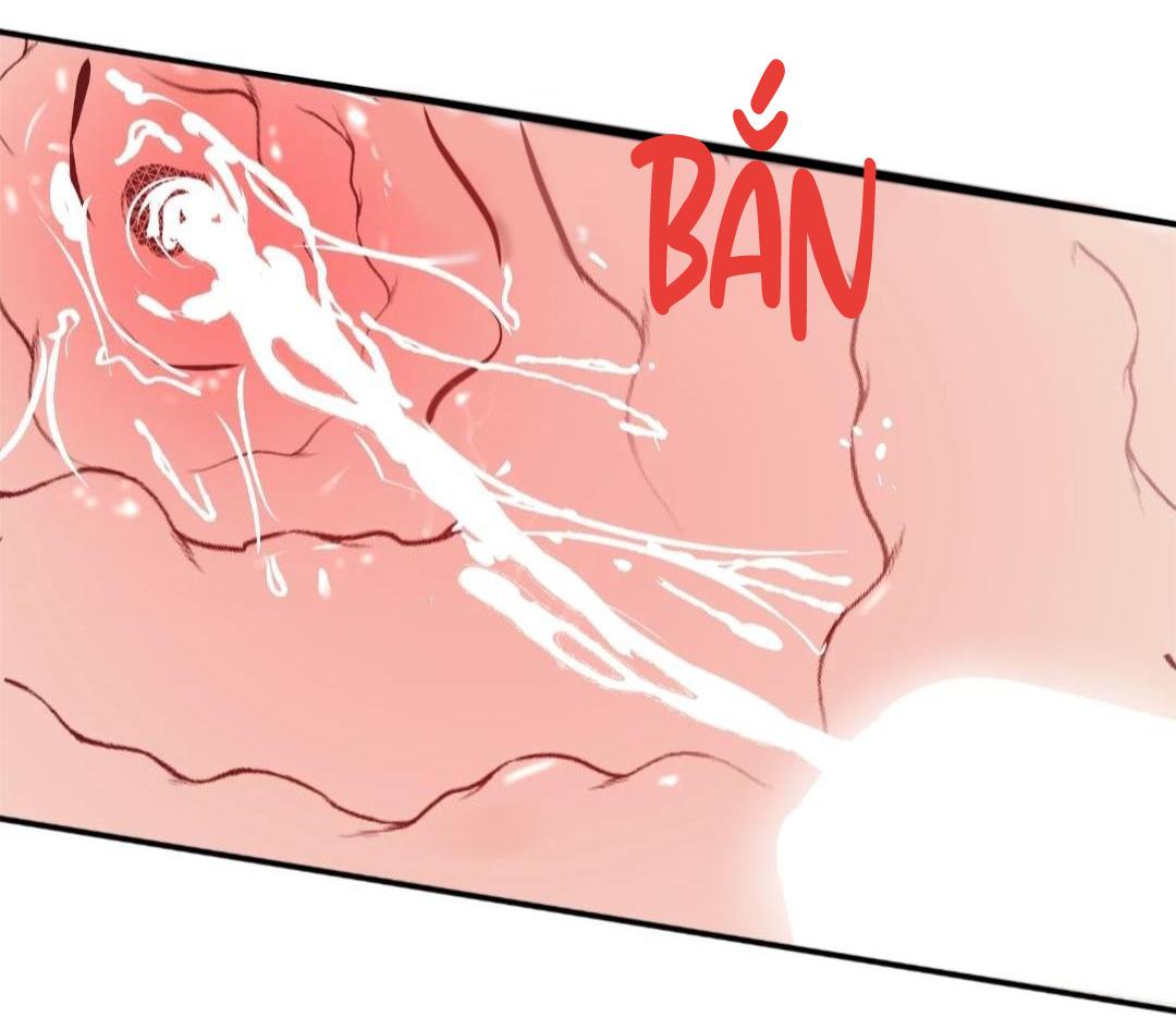 hạnh phúc trọn vẹn chapter 24 51