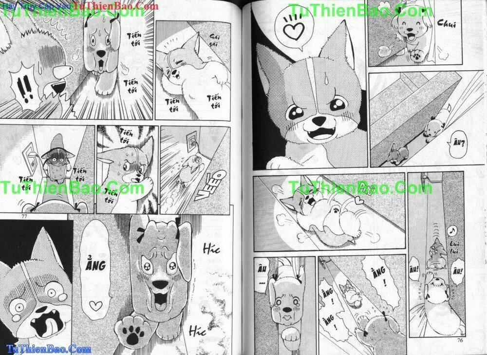 chó con mo mo chapter 5 39