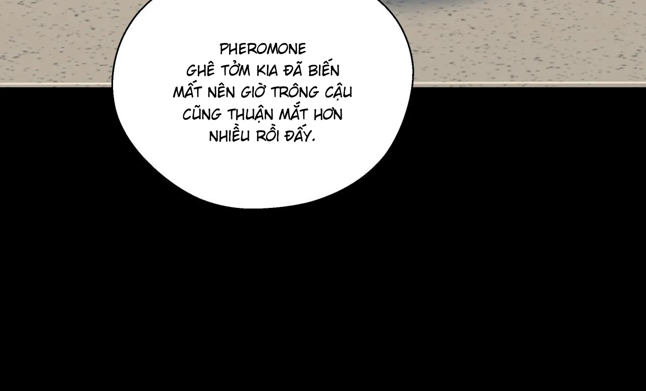 ám ảnh pheromone chapter 30 70