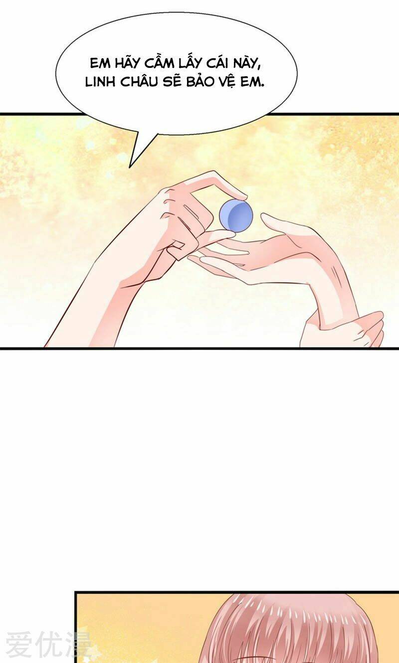 tôi bị gấu trúc nhìn trúng rồi chapter 17 24