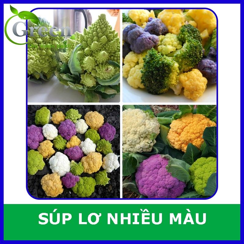 Hạt Giống Súp Lơ Nhiều Màu F1 (30H)