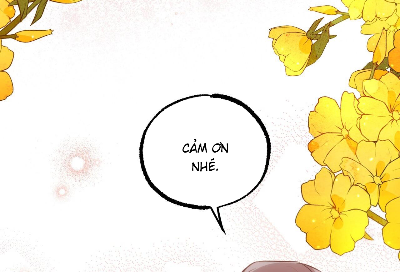 đàn thỏ của habibi chapter 65 216