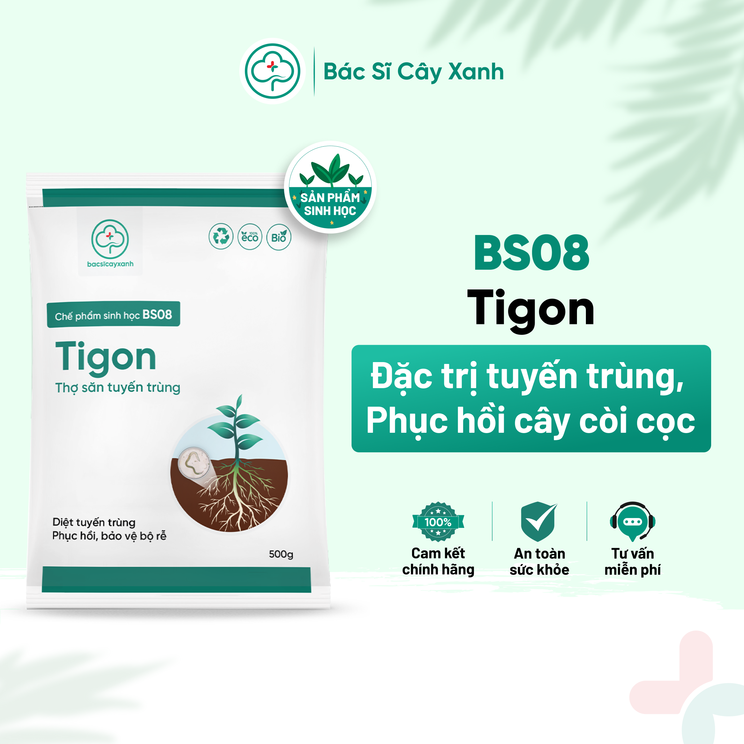 Phân bón đặc trị tuyến trùng rễ, phục hồi cây vàng lá, còi cọc, kém phát triển BS08 Tigon 500g NSX Bacsicayxanh