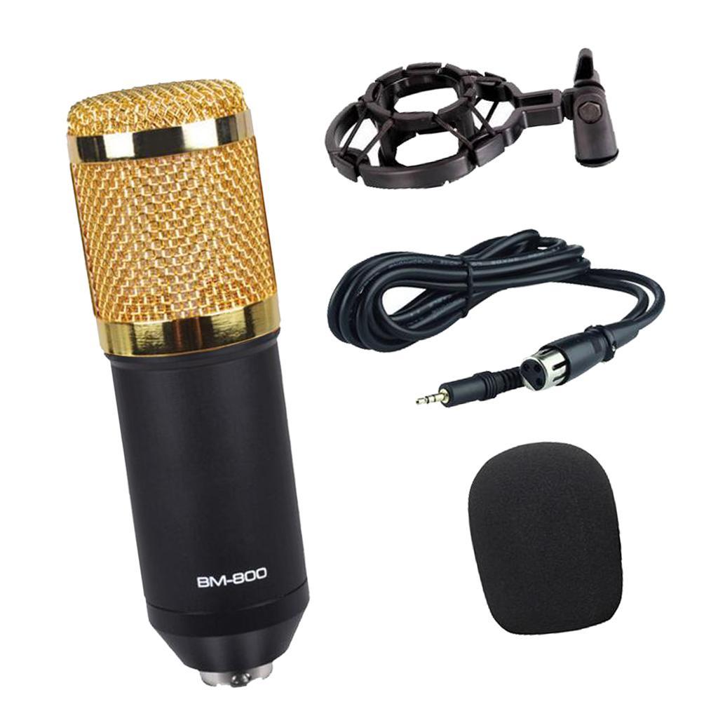 Cute Karaoke Microphone for Singing for Karaoke Singing Audio Studio Recording