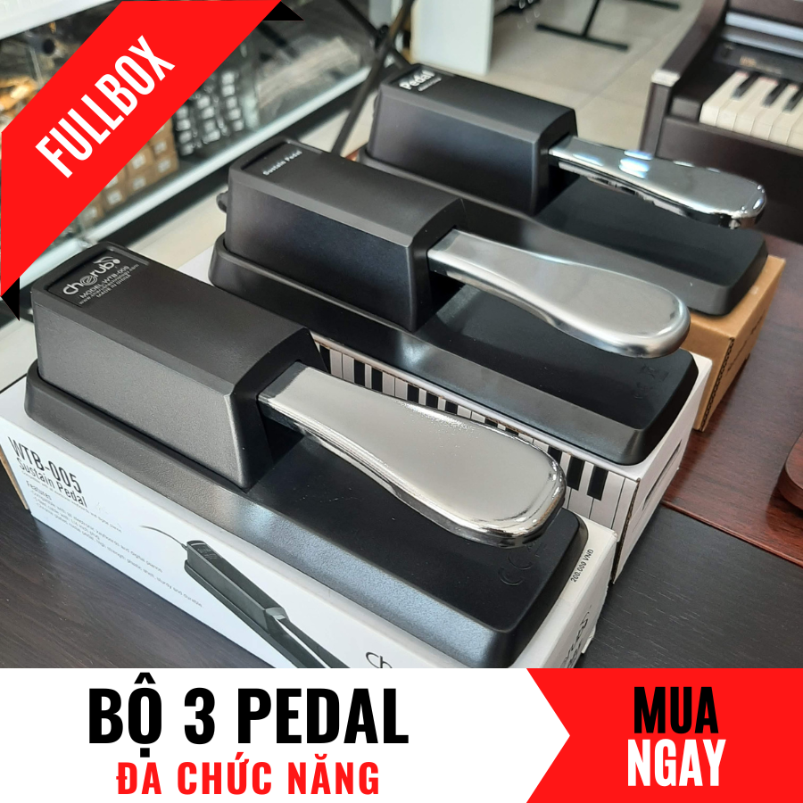 Pedal Dậm Vang Cho Đàn Organ Và Piano Điện (Fullbox