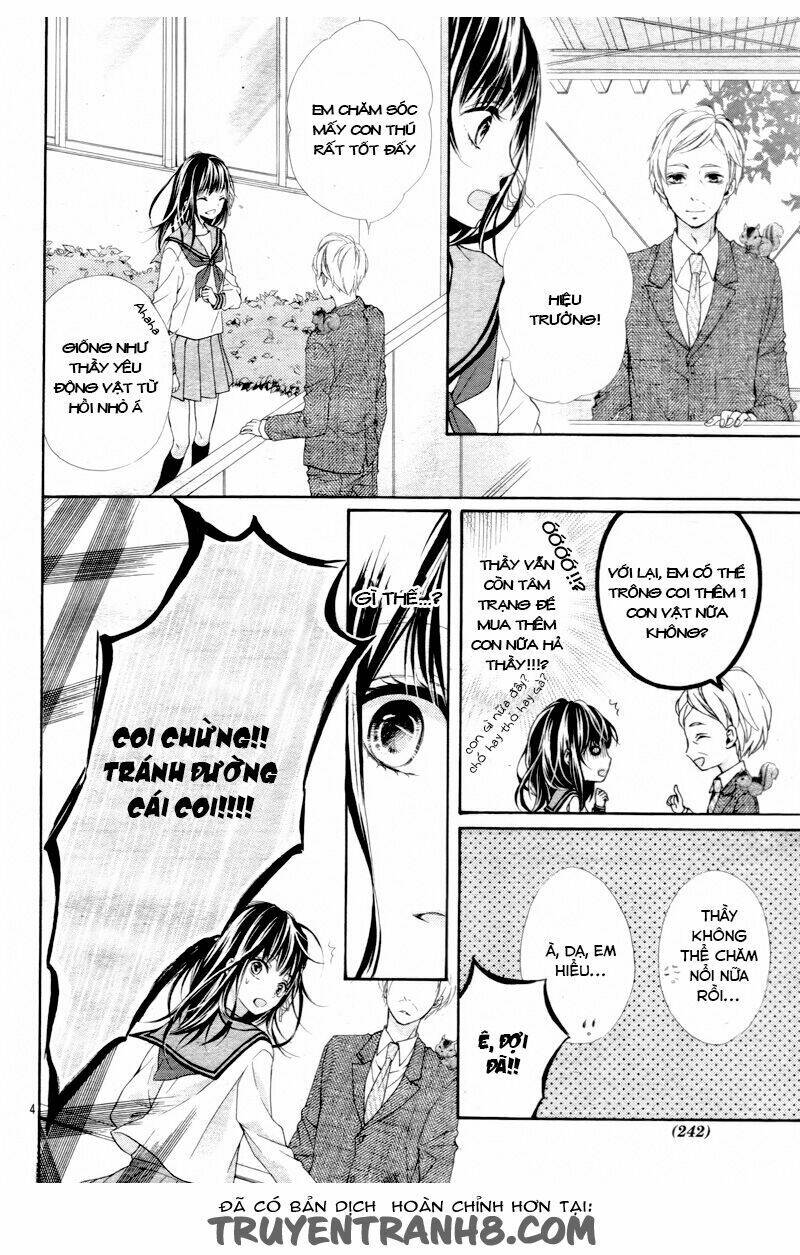 kedamonozakari, koizakari chapter 1 6