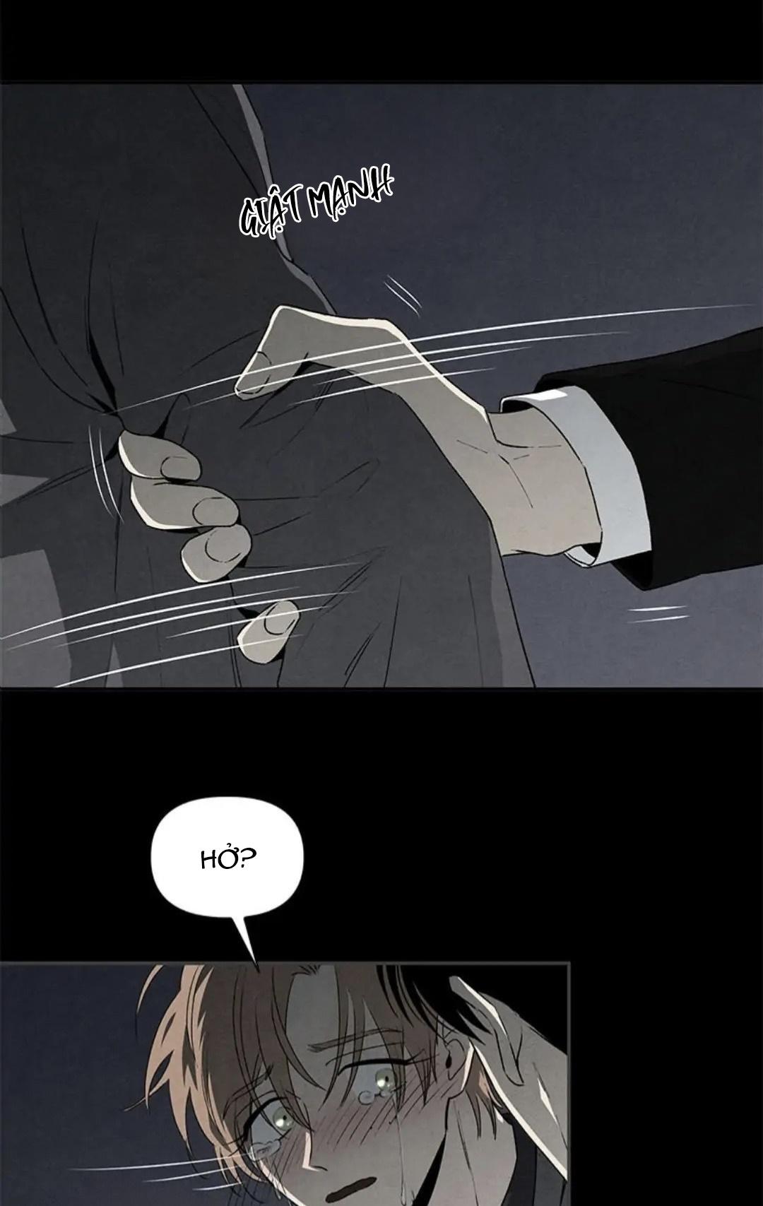 bona sort chapter 36 41