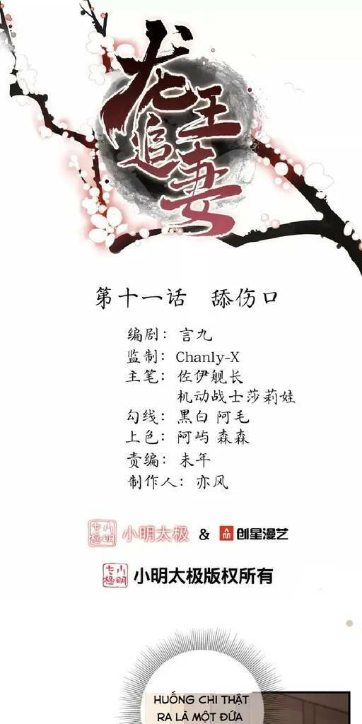 long vương truy thê chapter 11 1