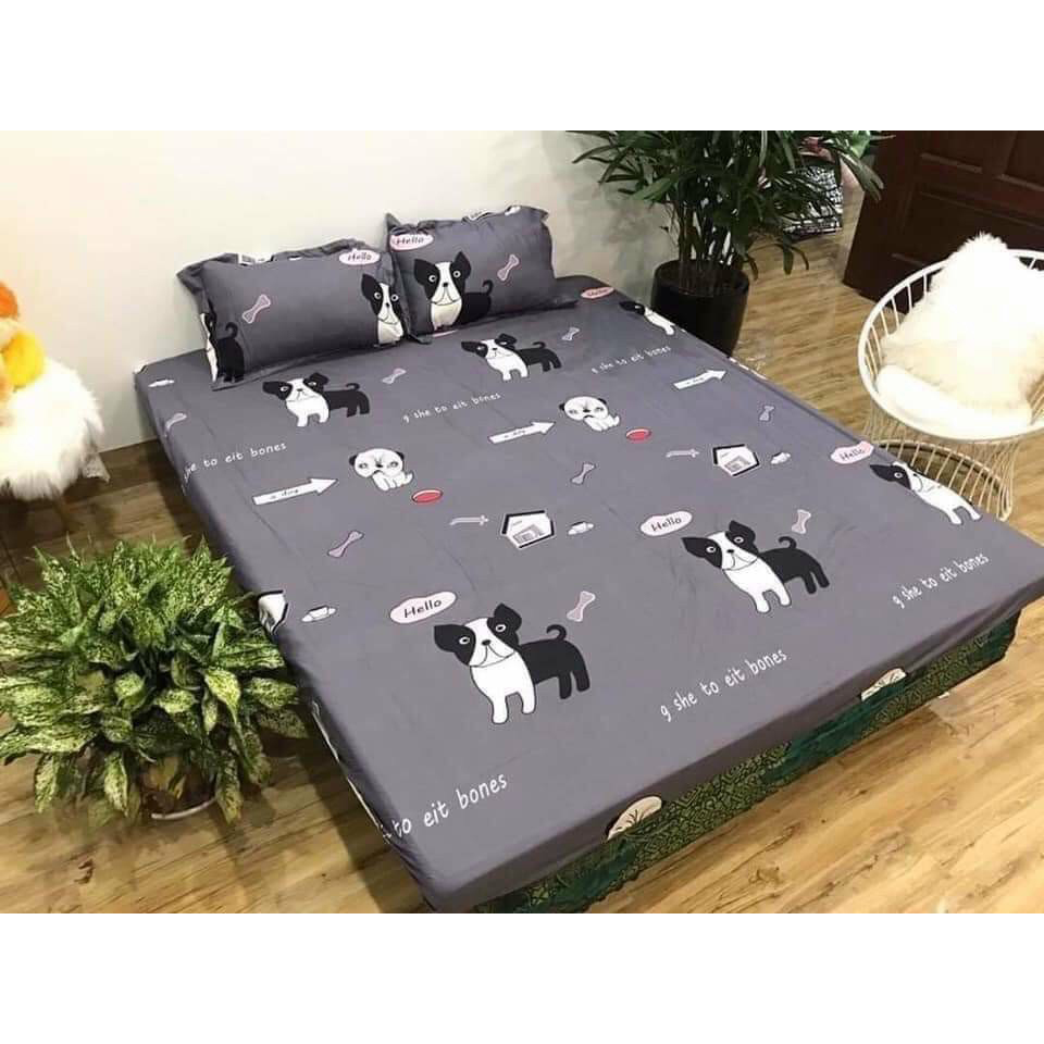 4 Món Ga gối Cotton Poly Phong cách Hàn Quốc Mẫu Chó Xám