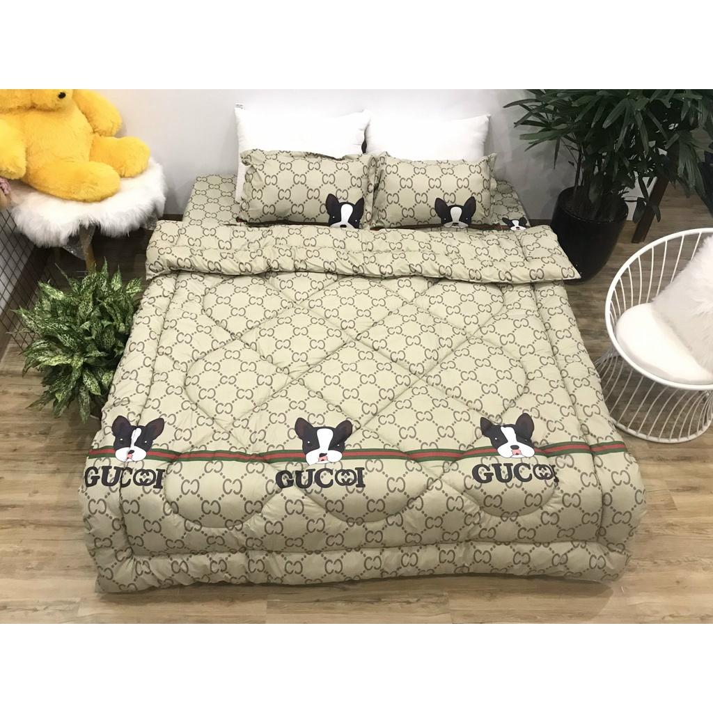 Mền Bông Hơi Siêu Nhẹ Mùa Đông Trần Phao Poly Cotton Có Ruột Dày Hàng Loại 1 Được Chọn Mẫu