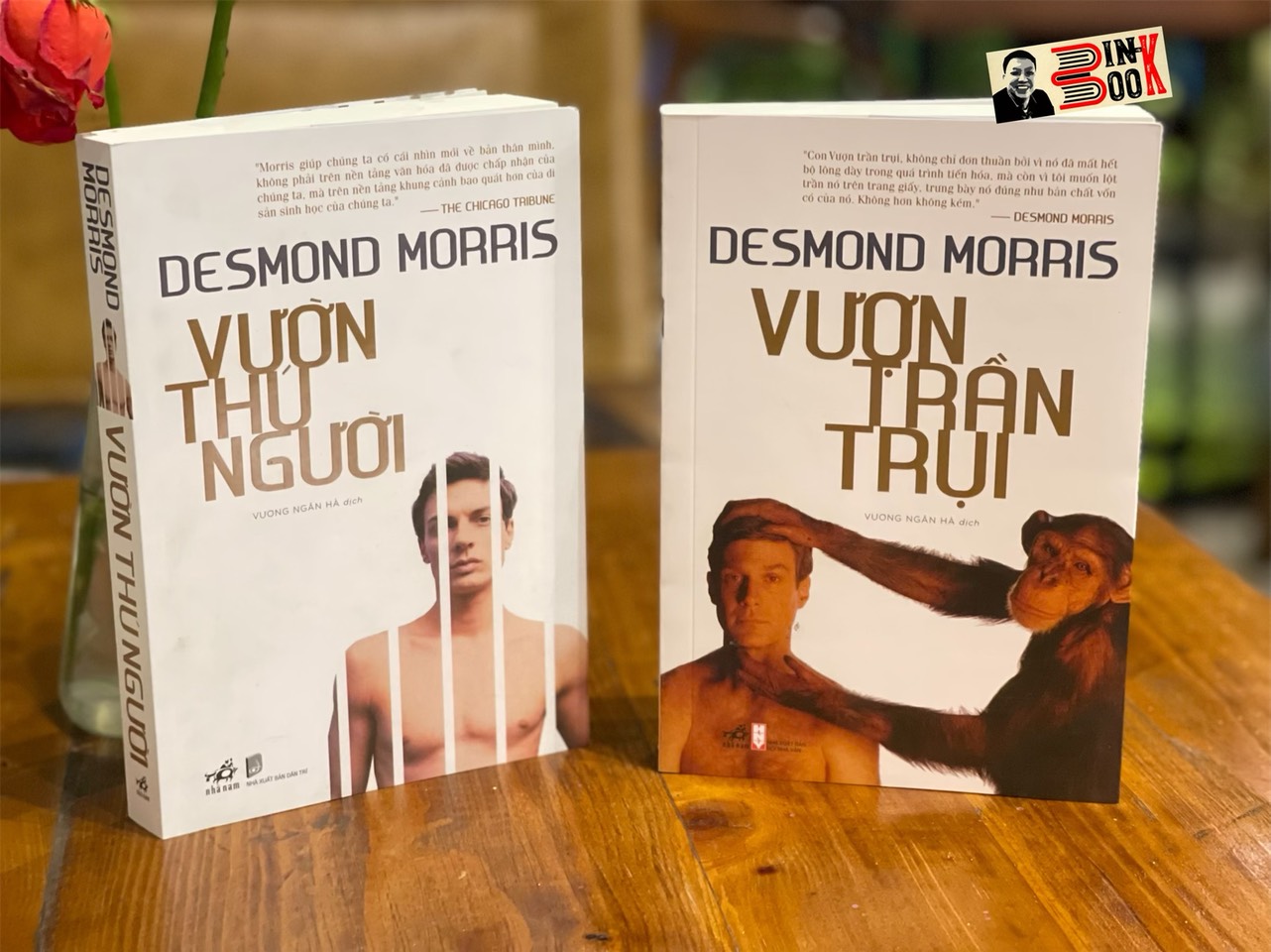 (Combo 2 cuốn Desmond Morris) VƯỢN TRẦN TRỤI và VƯỜN THÚ NGƯỜI – Vương Ngân Hà dịch – Nhã Nam (Bìa mềm)