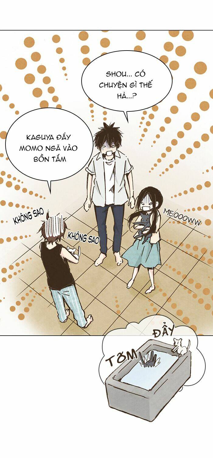 marry me! chapter 42 17