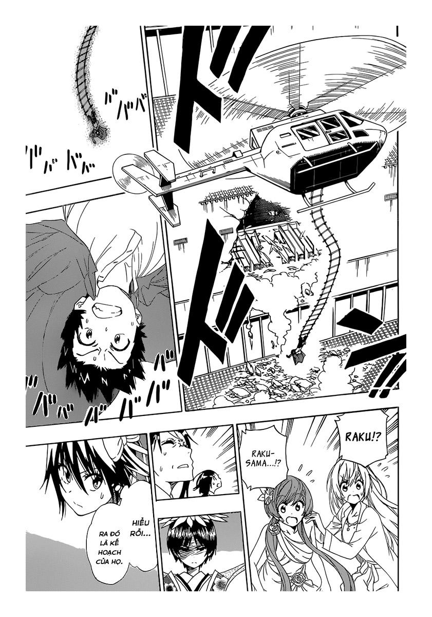 nisekoi - tình yêu giả tạo chapter 193 12