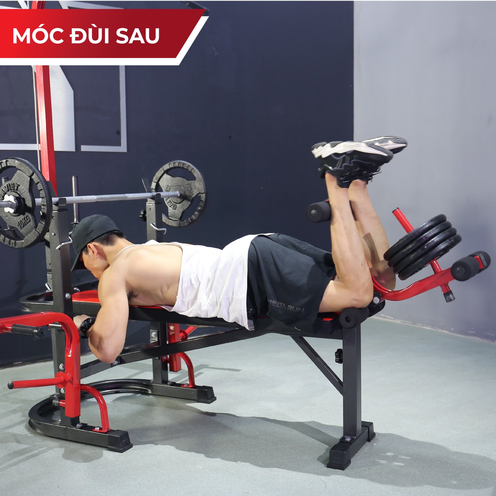 Giàn Tạ Đa Năng Zasami SGT-8210 Plus - kèm 50kg tạ gang, 1 đòn 1m5, và 1 đôi găng tay