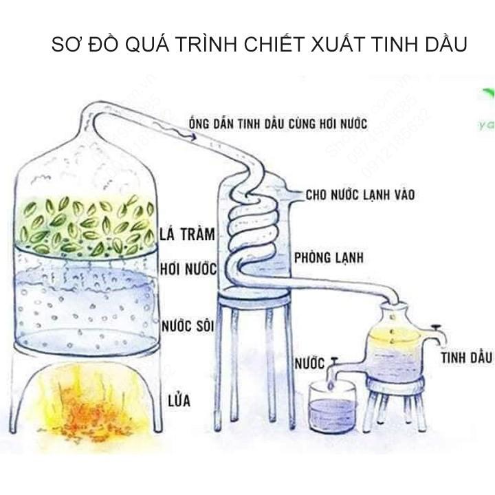 Tinh dầu nguyên chất 100% treo xe ô tô, treo tủ quần áo đa năng, nhiều loại tinh dầu