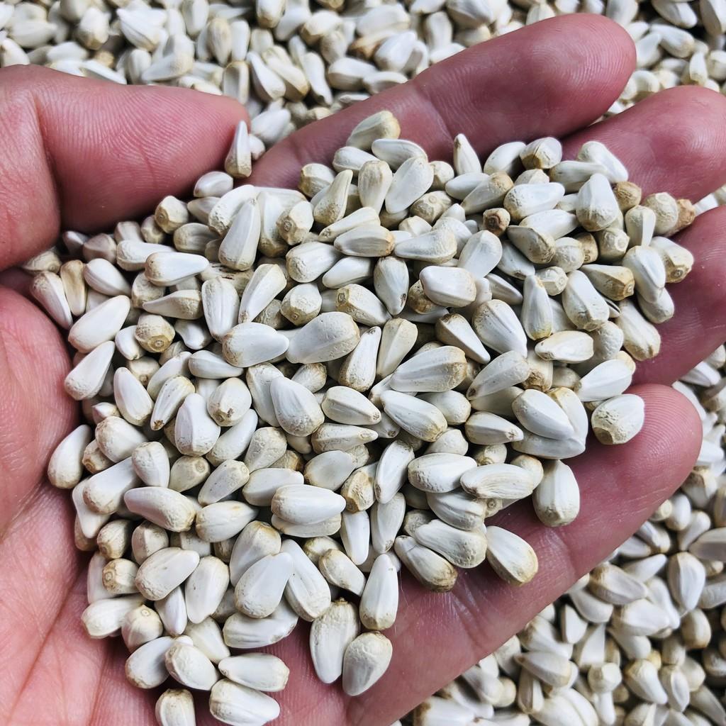 Hạt Kham, thức ăn cho thú cưng chim cảnh, vẹt, Hamster, gà đá, sóc, nhím
