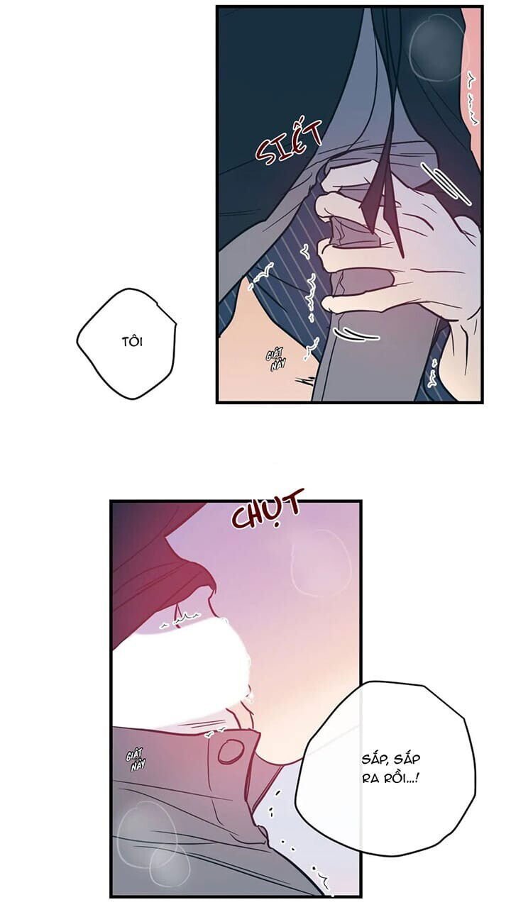 tình yêu ngây dại chapter 12 37