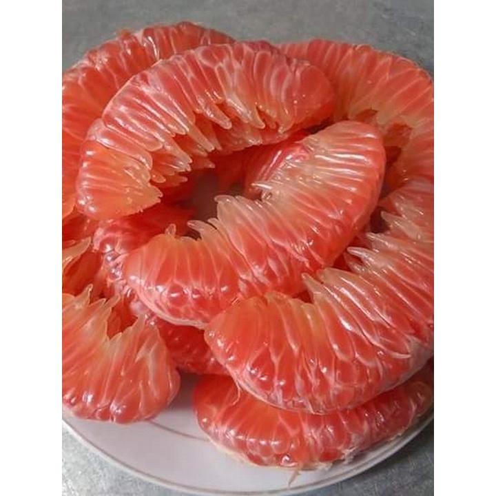 Giống Bưởi Đào Chuyên